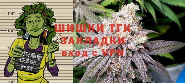 PSILOCYBIN Аркадак