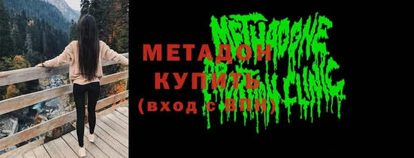 шишки Арсеньев
