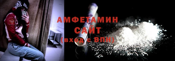 шишки Арсеньев