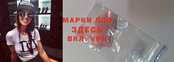 PSILOCYBIN Аркадак