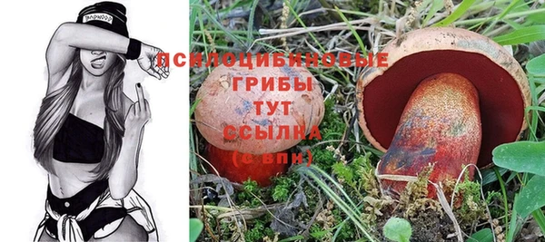 шишки Арсеньев
