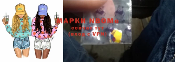 шишки Арсеньев