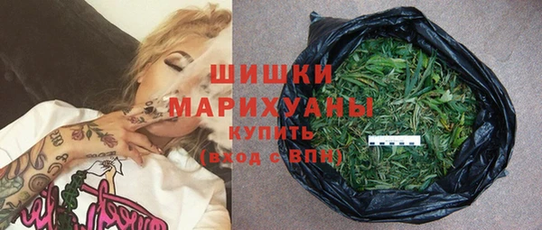 шишки Арсеньев