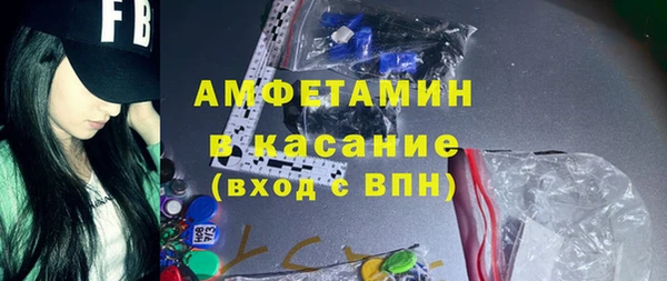 шишки Арсеньев