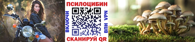darknet как зайти  Баймак  Галлюциногенные грибы Cubensis 